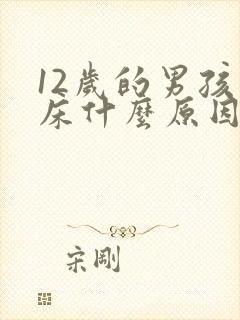 12岁的男孩尿床什么原因