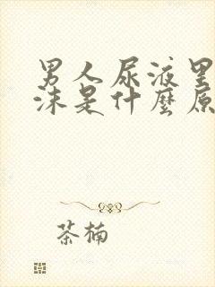 男人尿液里有泡沫是什么原因