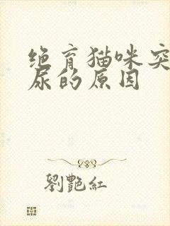 绝育猫咪突然乱尿的原因