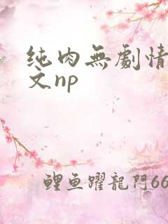 纯肉无剧情肉的文np