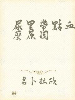 尿里带点血是什么原因