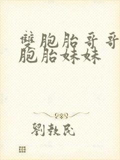 双胞胎哥哥和双胞胎妹妹