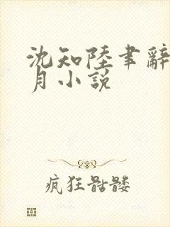 沈知陆聿辞苏晚月小说