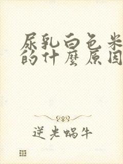 尿乳白色米汤似的什么原因