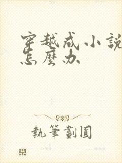 穿越成小说反派怎么办