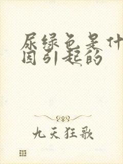 尿绿色是什么原因引起的