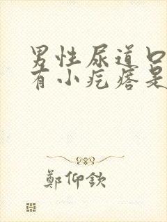 男性尿道口边缘有小疙瘩是咋回事