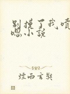 别摸了我喷了啊嗯小说