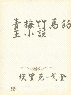 青梅竹马的双男主小说