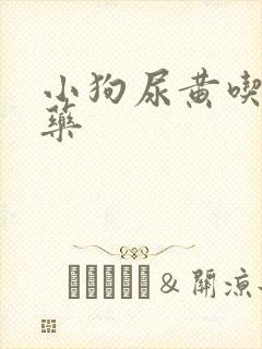 小狗尿黄吃什么药