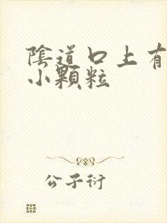 阴道口上有很多小颗粒