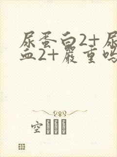 尿蛋白2+尿隐血2+严重吗