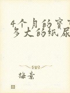 4个月的宝宝穿多大的纸尿裤