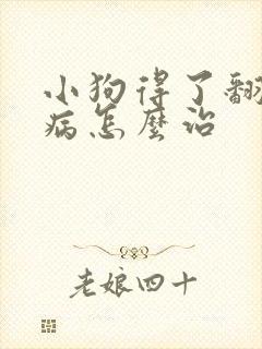 小狗得了翻肠子病怎么治