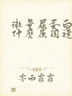 微量尿蛋白高是什么原因造成的