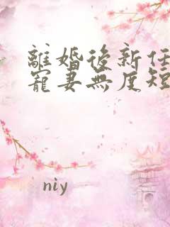 离婚后新任老公宠妻无度短剧全集