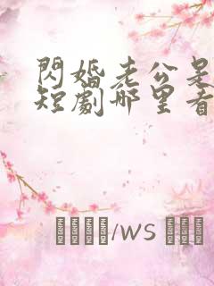 闪婚老公是总裁短剧哪里看完整版