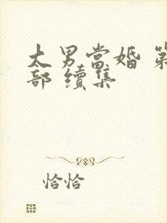 大男当婚 第二部 续集