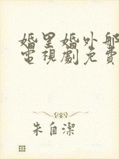 婚里婚外那些事电视剧免费观看