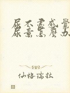 尿不尽感觉总有尿意怎么办