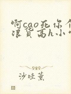 啊cao死你个浪货高h小雪视频