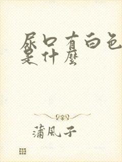 尿口有白色颗粒是什么