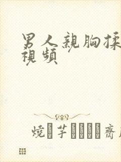 男人亲胸揉下面视频