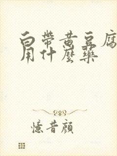 白带黄豆腐渣状用什么药