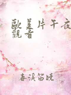 欧美片午夜在线观看