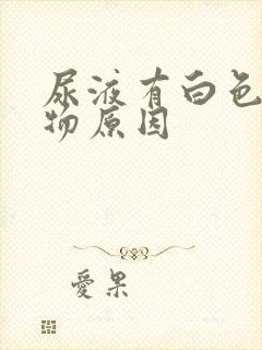 尿液有白色沉淀物原因