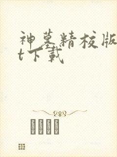 神墓精校版txt下载