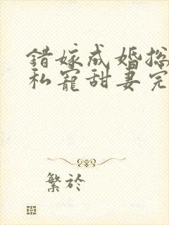 错嫁成婚总裁的私宠甜妻完整