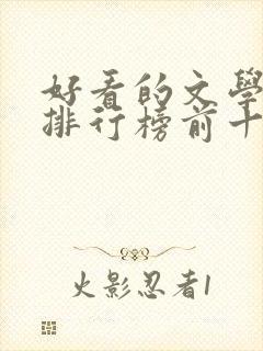 好看的文学小说排行榜前十名