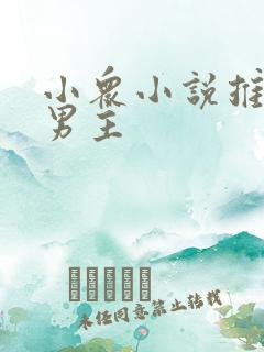 小众小说推荐双男主