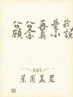 公公再爱我一次顾念真小说免费阅读全文