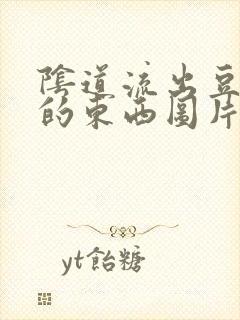 阴道流出豆腐渣的东西图片