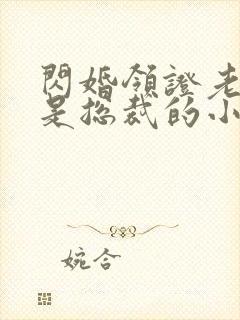 闪婚领证老公竟是总裁的小说