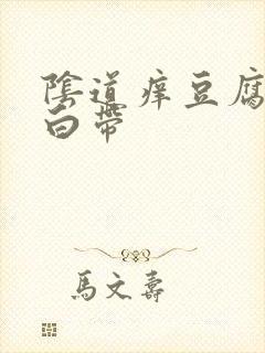 阴道痒豆腐渣状白带