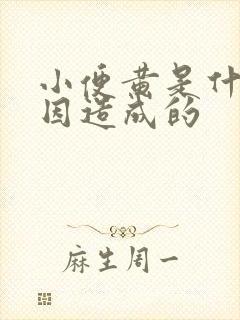 小便黄是什么原因造成的