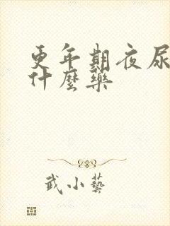 更年期夜尿多吃什么药