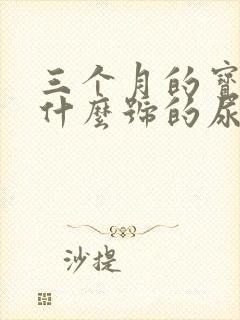 三个月的宝宝用什么号的尿不湿