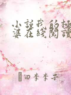 小说我的极品老婆在线阅读