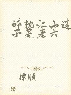 醉枕江山这个皇子是老六