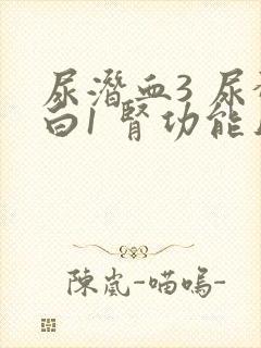 尿潜血3 尿蛋白1 肾功能正常