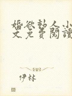 婚欲动人小说全文免费阅读