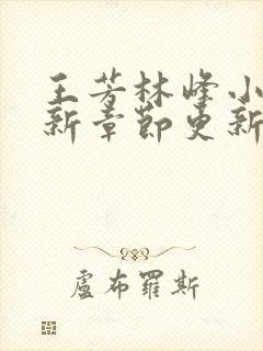 王芳林峰小说最新章节更新