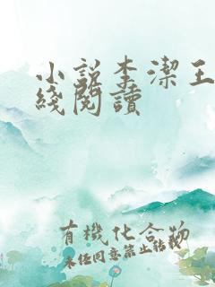 小说李洁王浩在线阅读