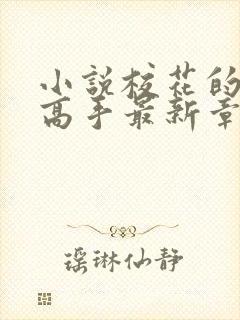 小说校花的贴身高手最新章节目录