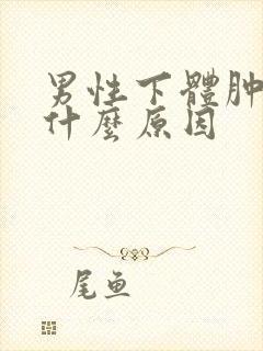 男性下体肿痛是什么原因