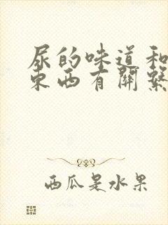 尿的味道和吃的东西有关系吗